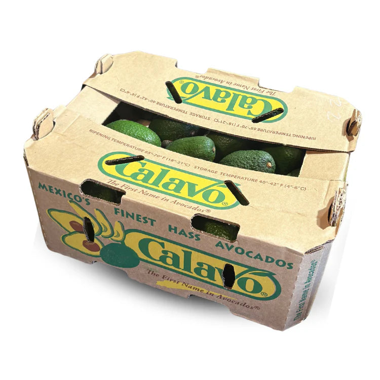 [New] Green Calavo Avocado 32' /Box