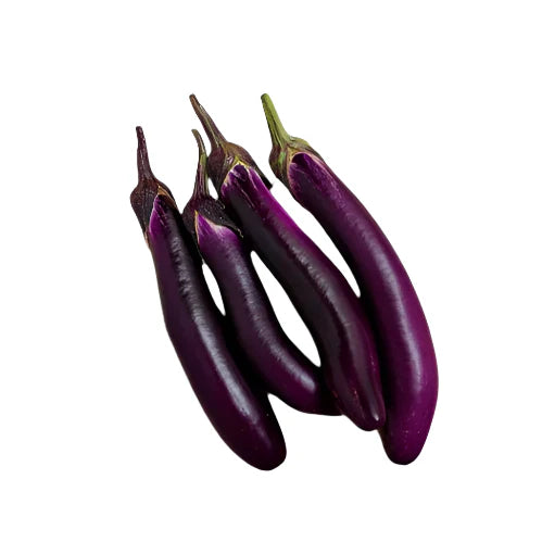 [LBS] Eggplant