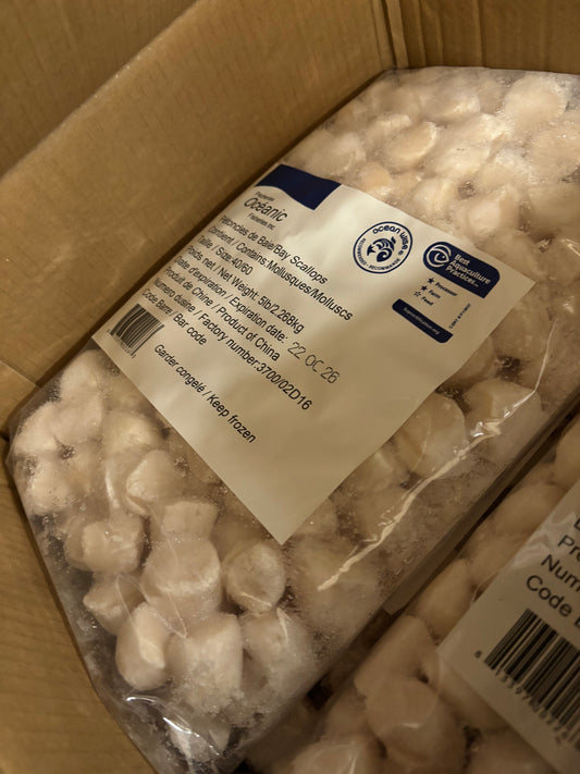 BABY SCALLOP 40-60CT/CS