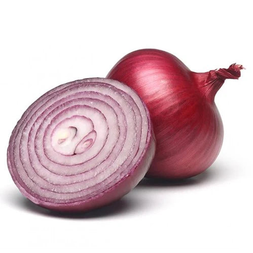 [LBS] Onion, RED