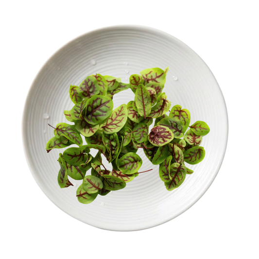 SORREL (RED VEIN)