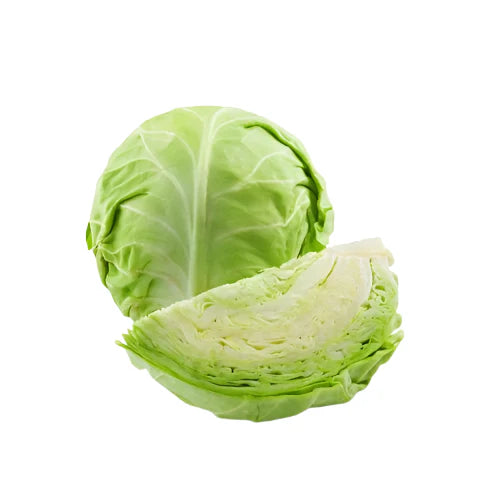 [EA] Cabbage, Green