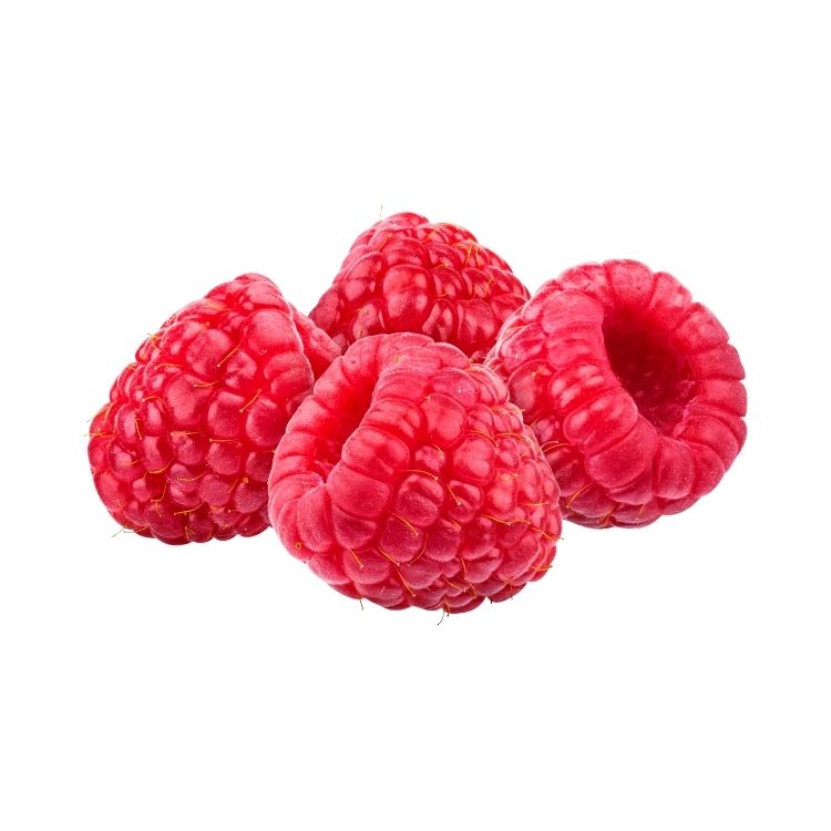 [BOX] RASPBERRY 6OZ