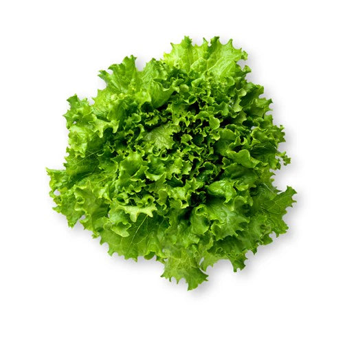 [BOX] Green Leaf Lettuce
