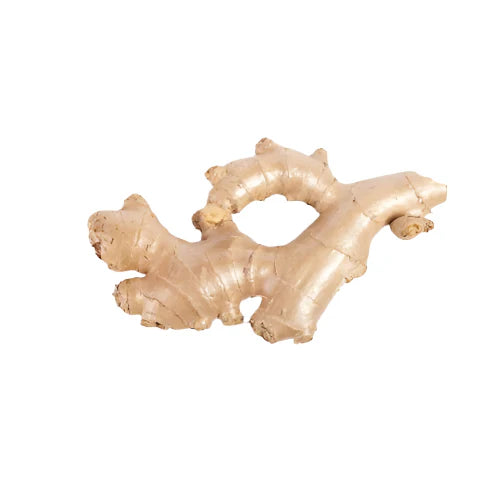 [LBS] Ginger