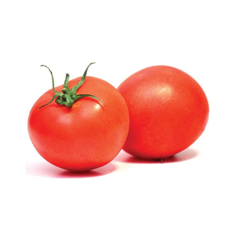 [BOX] Garden Tomato (small)