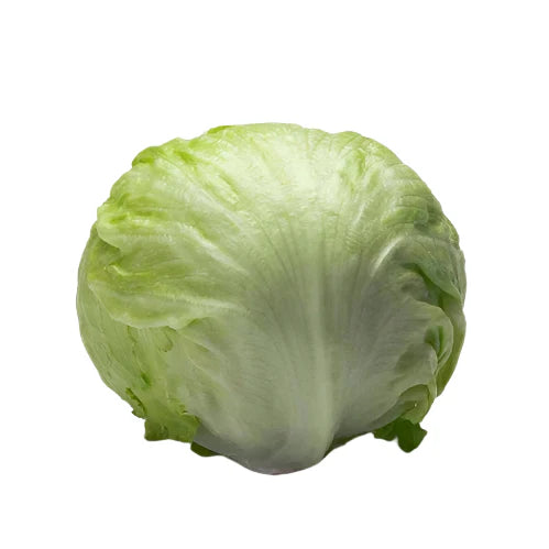 [BOX] Iceberg Lettuce