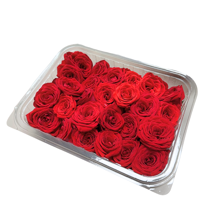 RED ROSE BUD PREMIUM CUT 21CT