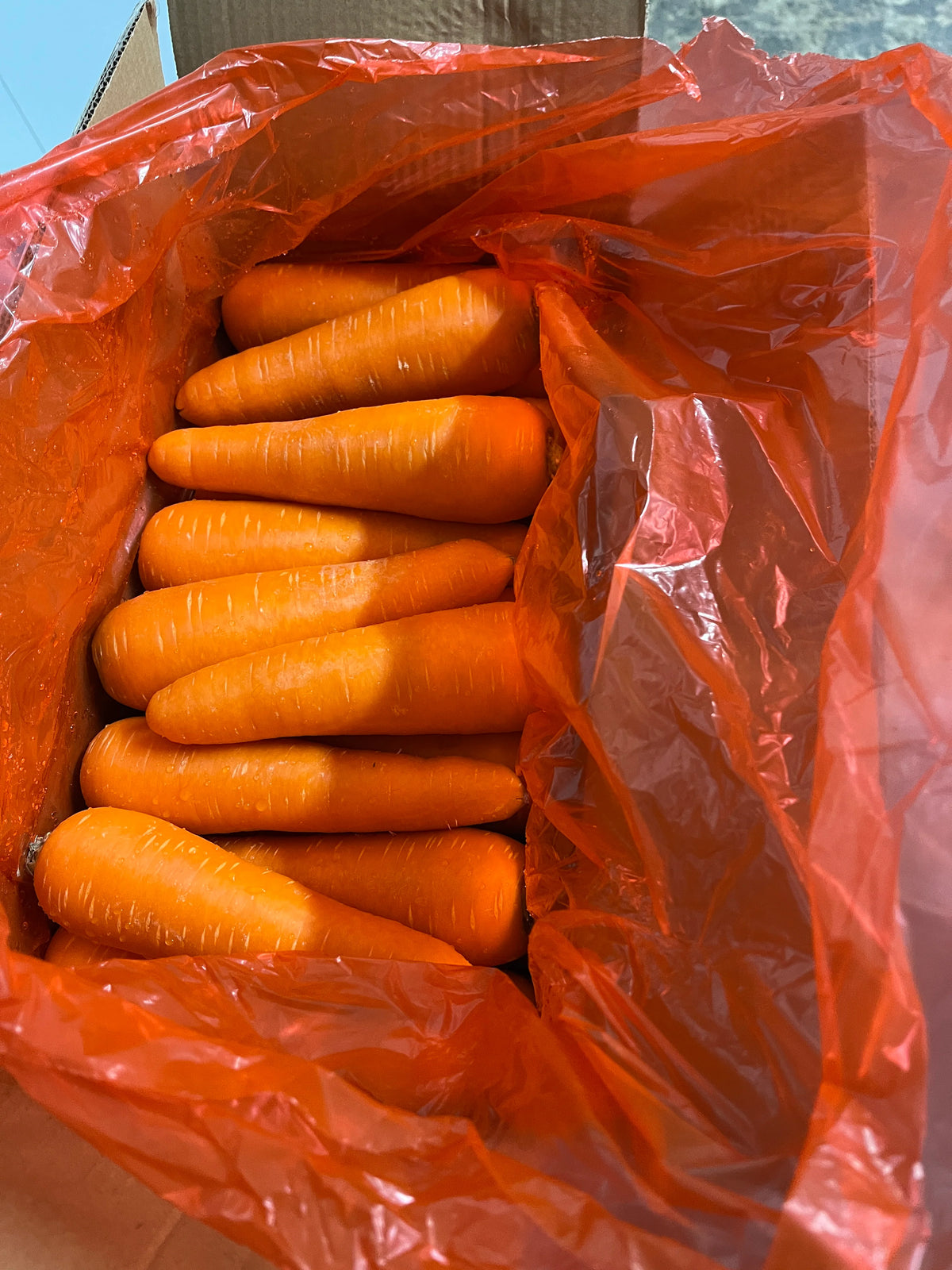 [BOX] Carrot 22LBS/10Kg