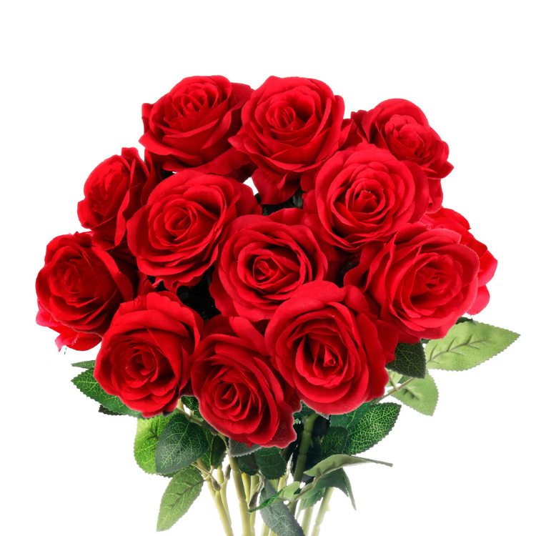 RED ROSE DOZEN