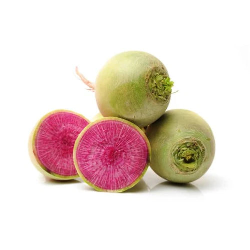 [LBS] Watermelon Radish
