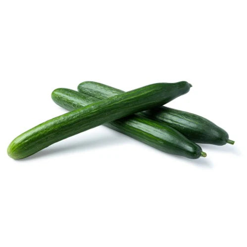 [BOX] Cucumber No.1 (Large)