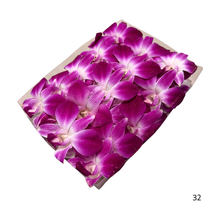 ORCHIDS 50CT TRAY