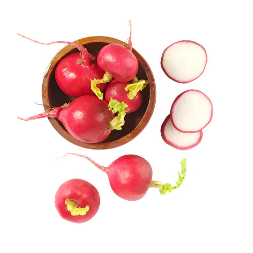 [LBS] Red Radish