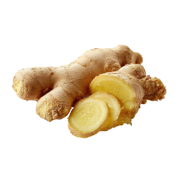 [BOX] GINGER