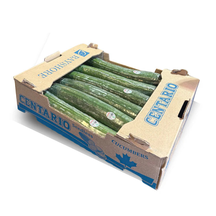 [BOX] Cucumber No.1 (Large)